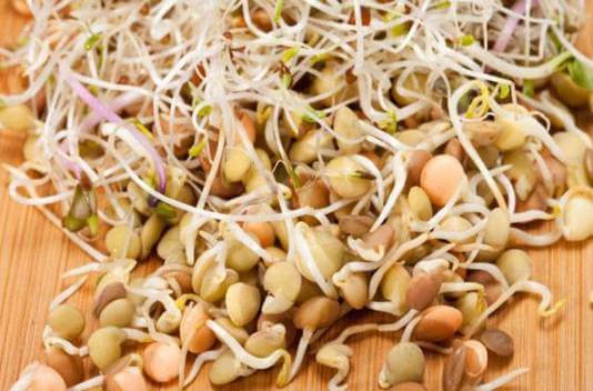 Sprouted grains