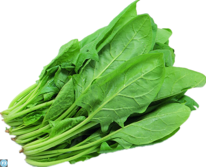 Palak Palak