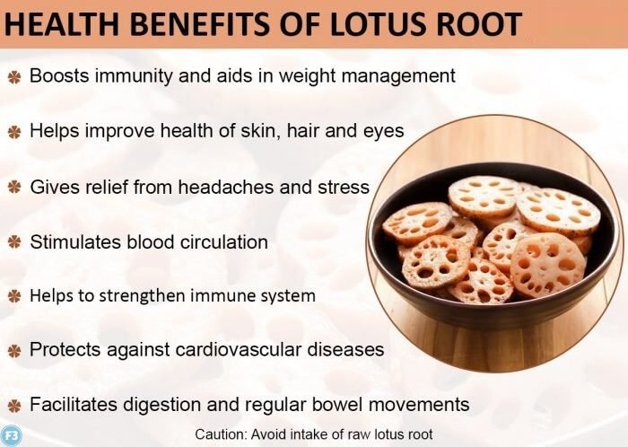 Lotus Root Benefits