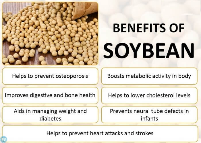 Soya Bean Benefits in hindi