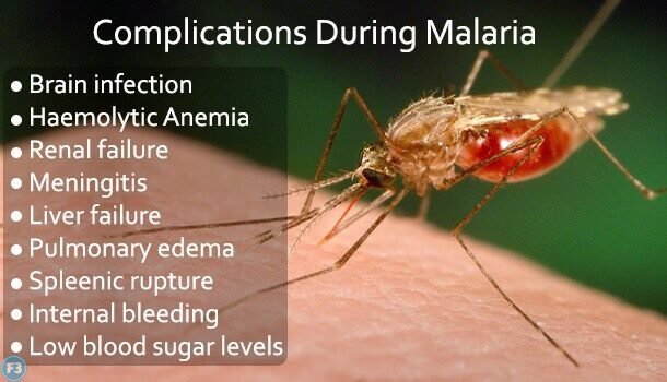 Malaria treatment in Hindi Malaria treatment in Hindi