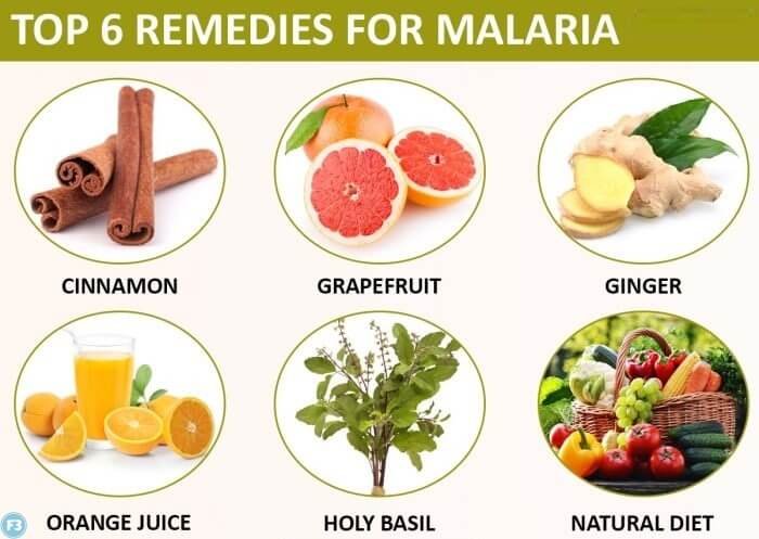 Malaria treatment in Hindi Malaria treatment in Hindi