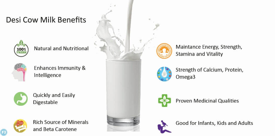Cow Milk Benefits हेल्थ के लिए बेहद फायदेमंद है गाय का दूध