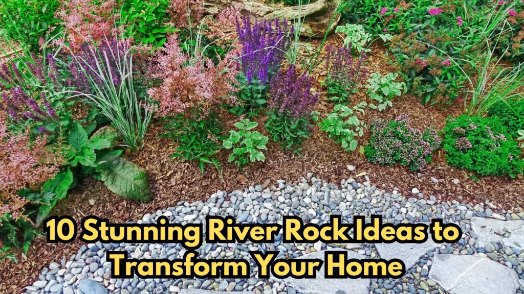 How a Simple River Rock Could Transform Everyday Adventure Trial