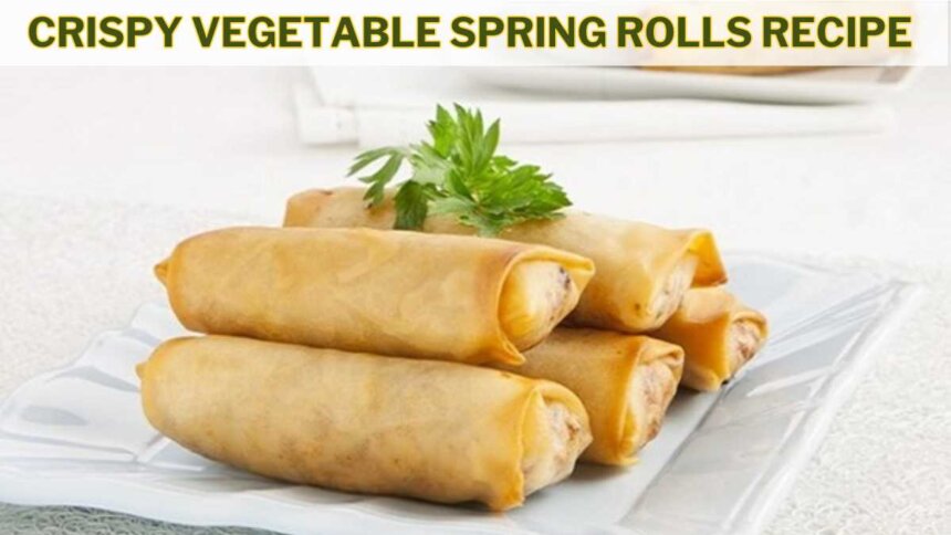 Crispy Vegetable Spring Rolls Recipe