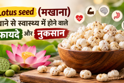 lotus seeds